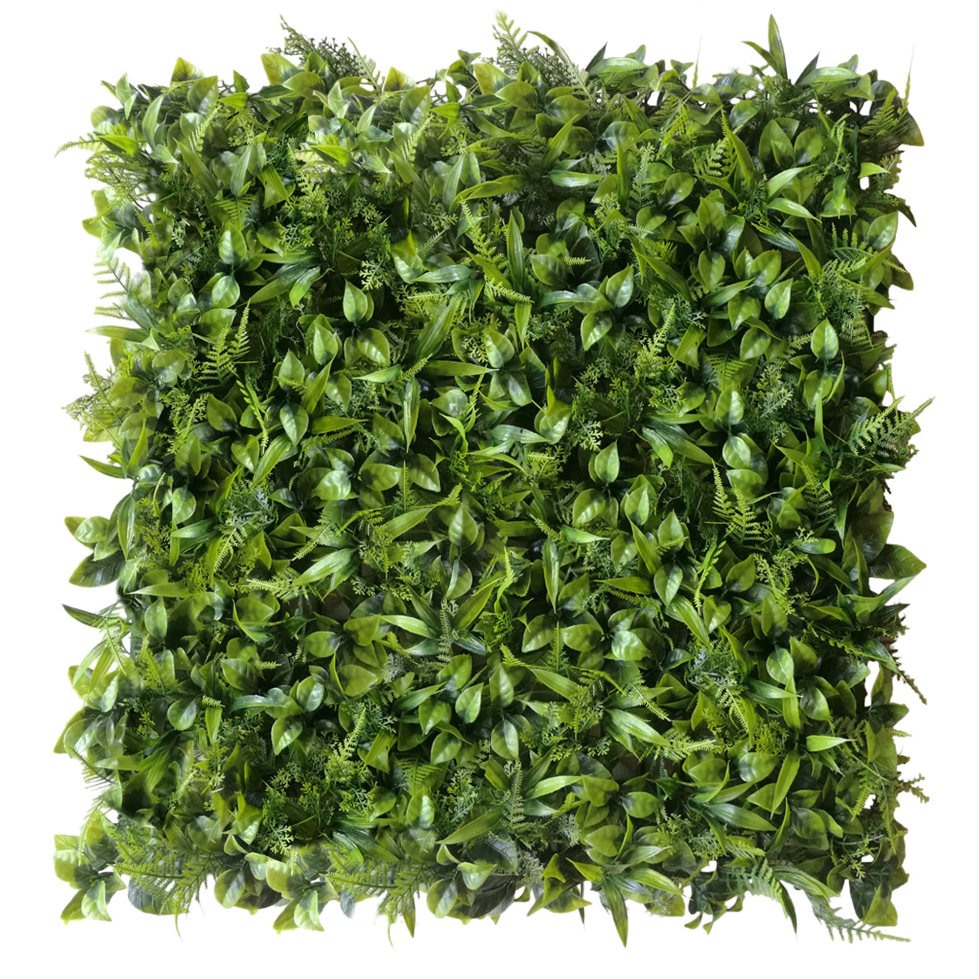 Mur végétal Peperomia 50x50cm