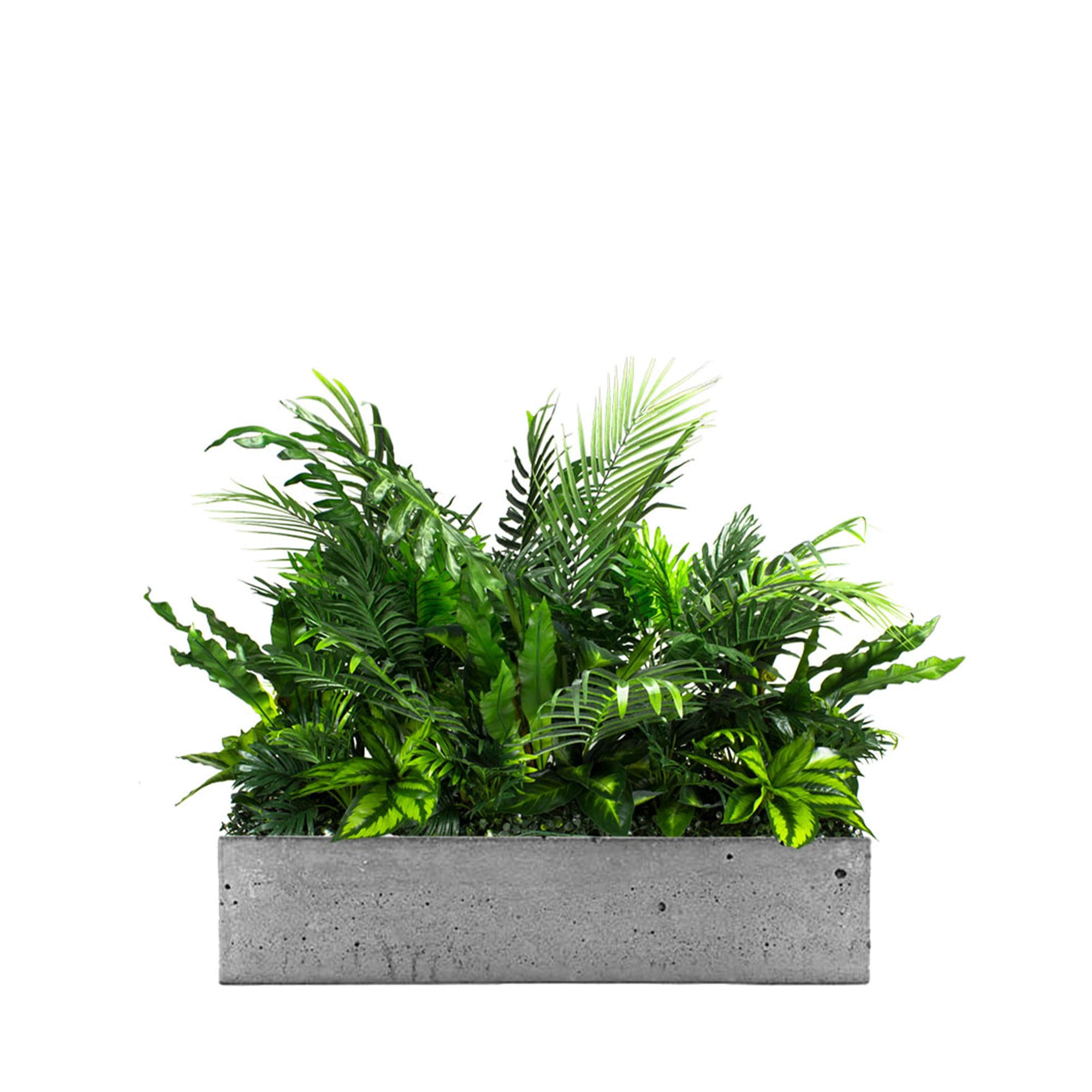 Remplir le pot Season Surf avec des plantes