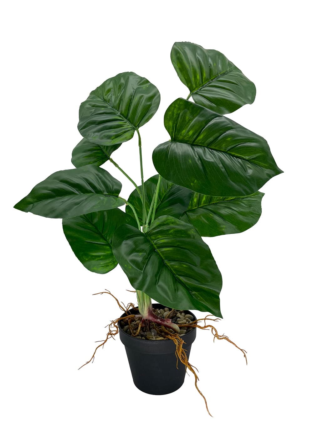 Plante d'arrow-root artificielle 44 cm