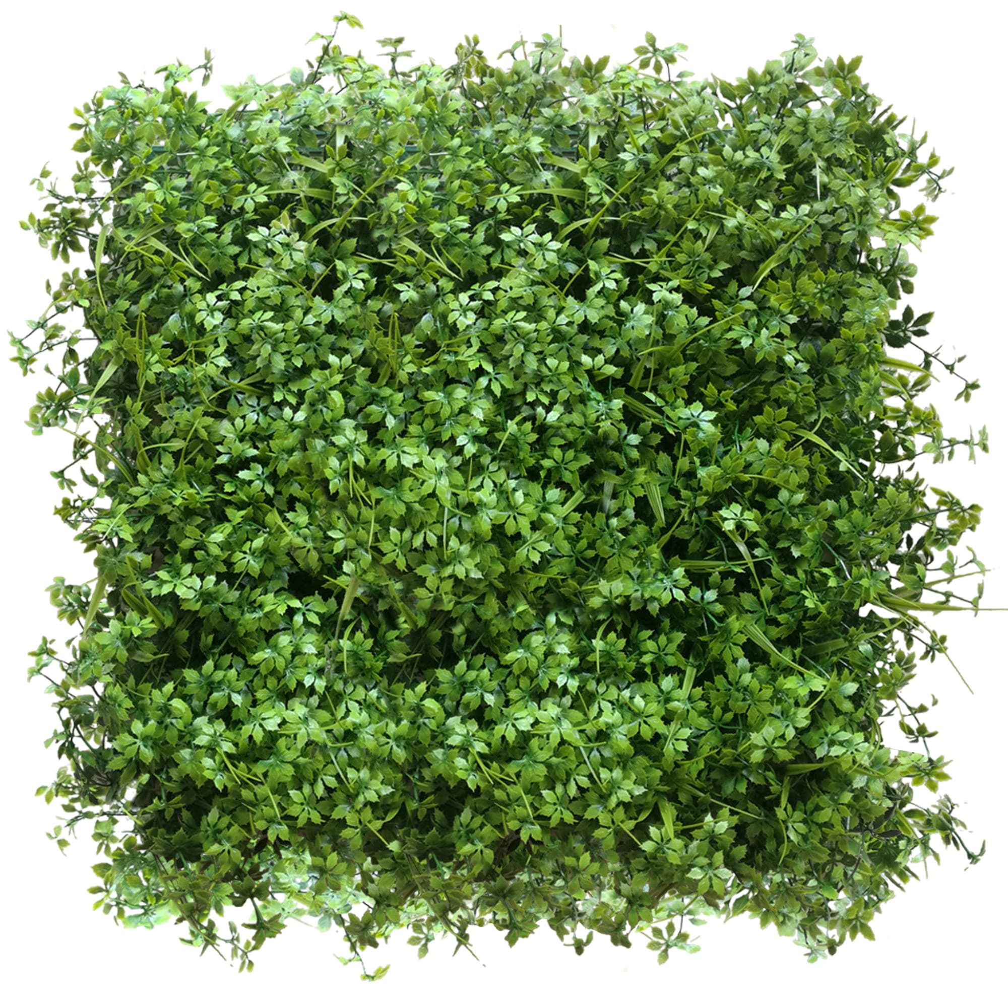 Mur végétal Lavage 50x50cm