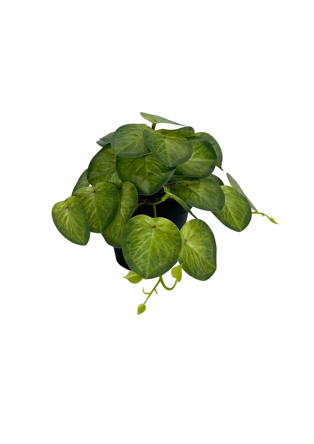 Plante Pilea artificielle 19 cm - Vert clair