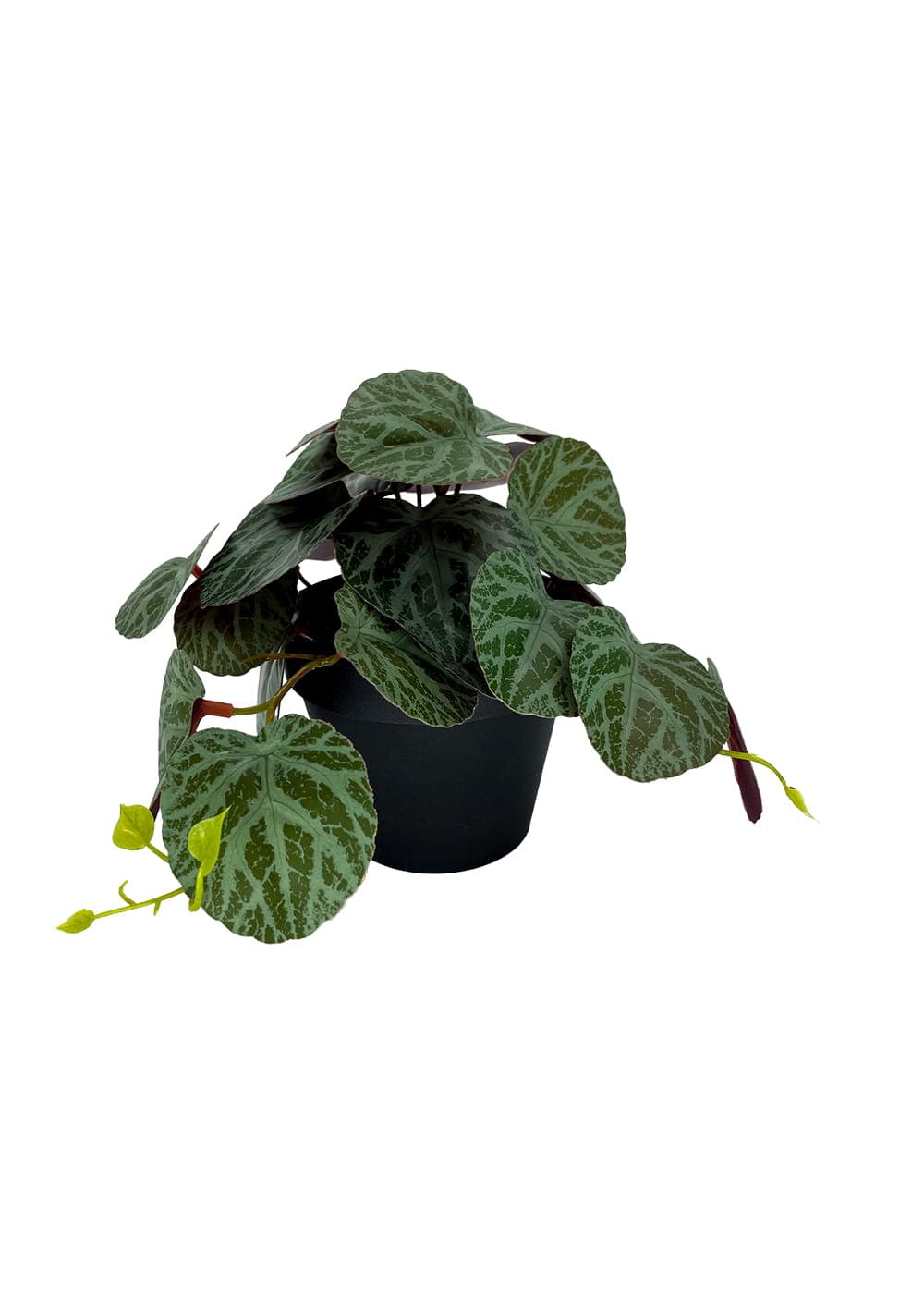 Plante Pilea artificielle 19 cm - Vert Foncé